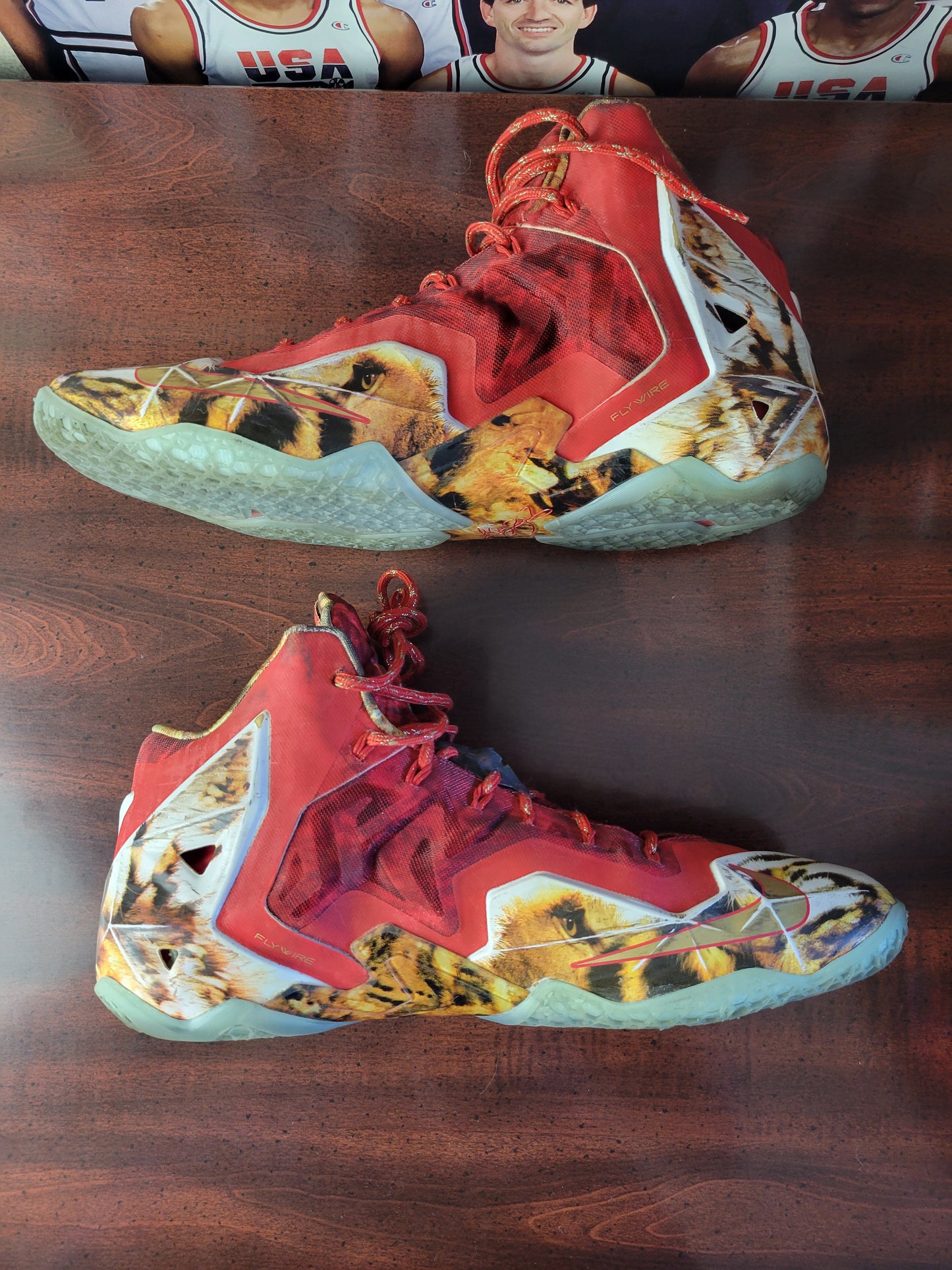 Nike LeBron XI (11) PREMIUM NBA 2K14 (Pre-owned) 650884 674