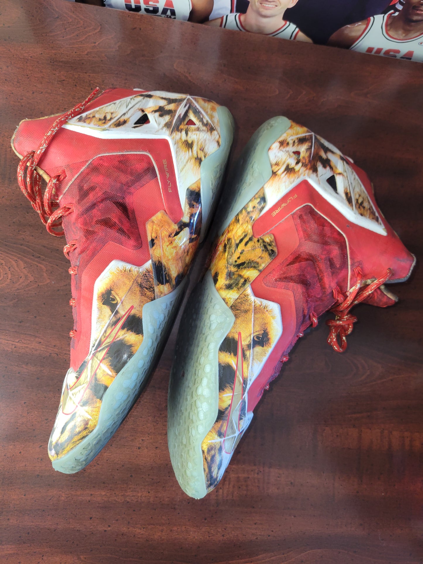 Nike LeBron XI (11) PREMIUM NBA 2K14 (Pre-owned) 650884 674