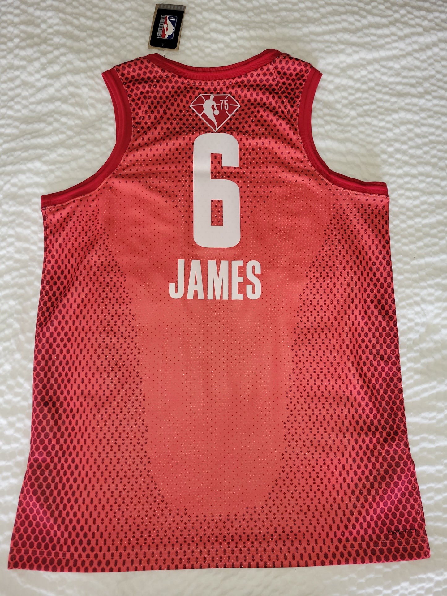 Lebron James NBA All-Star Jersey