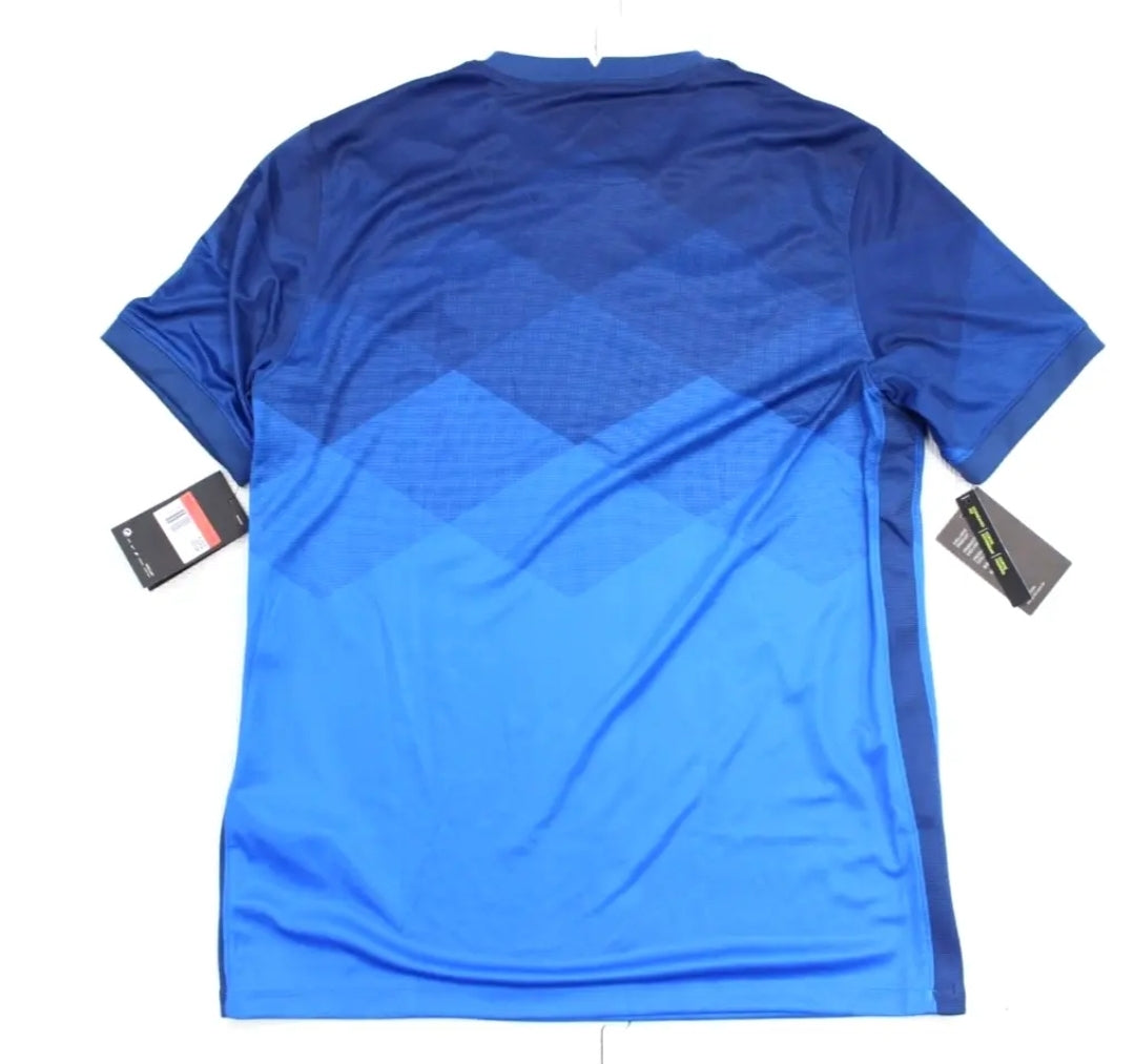 Nike Brazil National Team Jersey